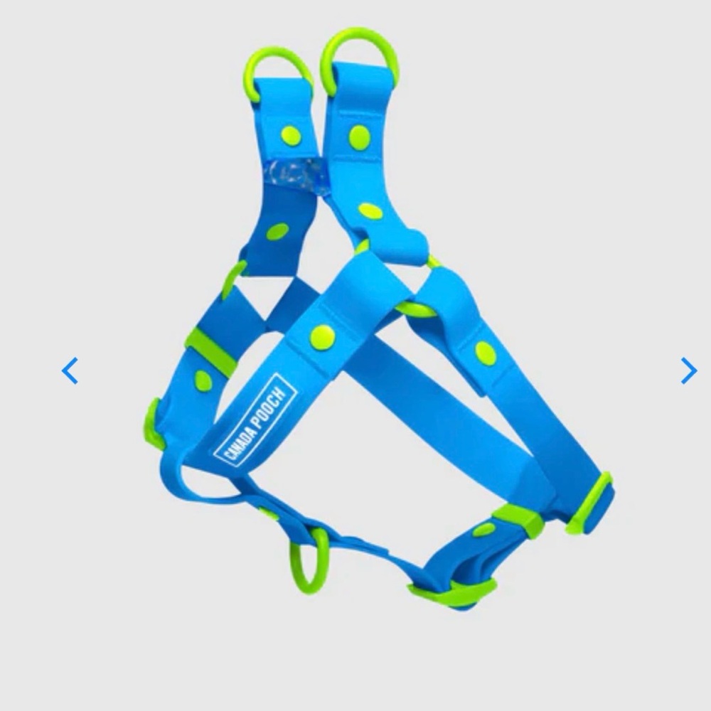 Blue & Lime Reflective Dog Harness